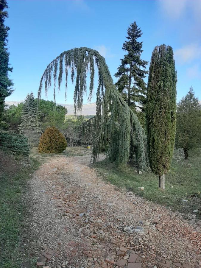 Domaine De La Xavoliere Hotel Saint-Cézaire-sur-Siagne Екстериор снимка