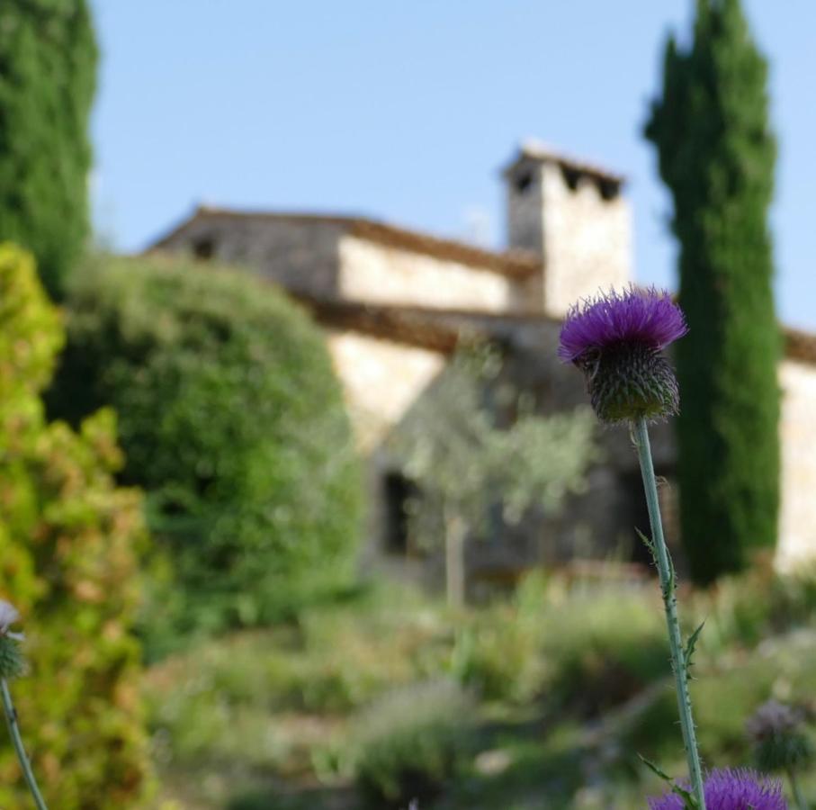 Domaine De La Xavoliere Hotel Saint-Cézaire-sur-Siagne Екстериор снимка