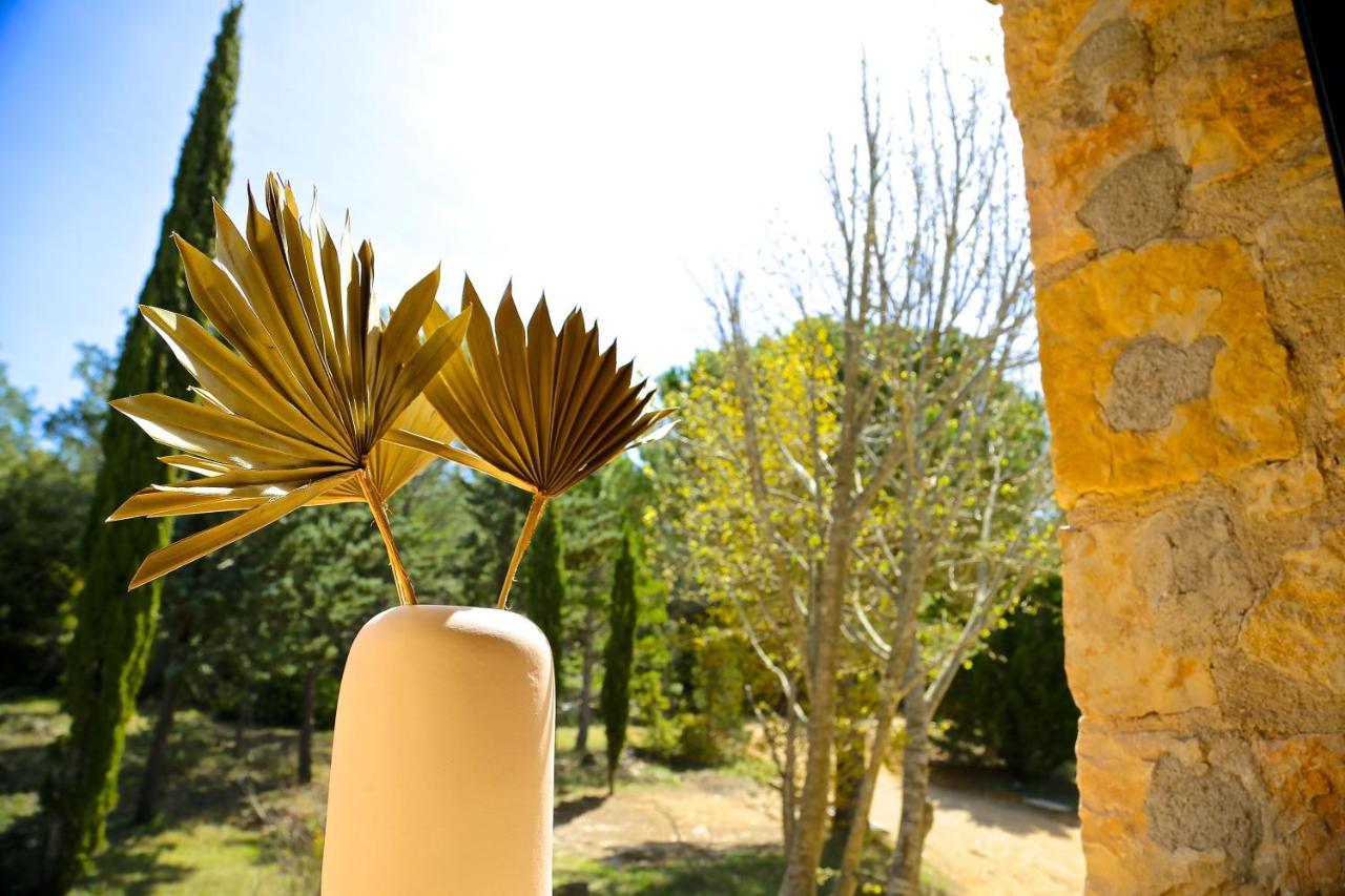 Domaine De La Xavoliere Hotel Saint-Cézaire-sur-Siagne Екстериор снимка